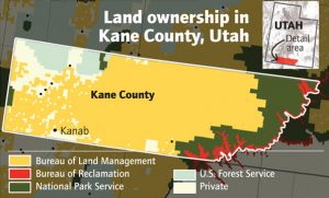 Kane County Land Ownership Map 1