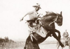 Old Bucking Horse 1