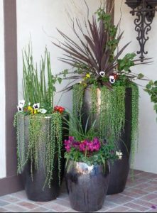 potted-plants-1