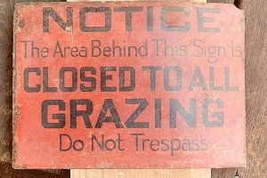 closed-to-grazing-1