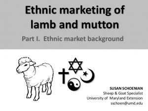 Ethnic Lamb Marketing 1