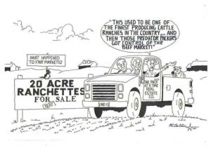 20 Acre Ranchettes 1