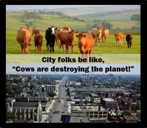 Cows City Folks 1