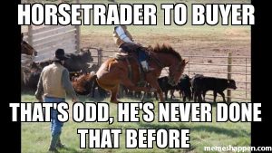 Horse Trader to Buyer 1