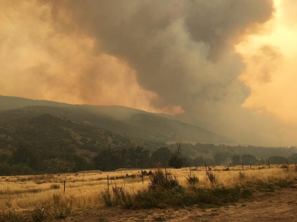Wildfires cause devastating losses to livestock in Utah town