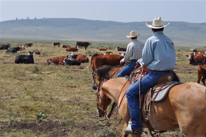 Hammond Family BLM Grazing Permits are Reinstated