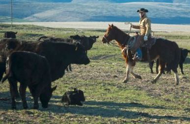 Ranching in the Spotlight — What Most People Don’t Know — the Growing Disconnect