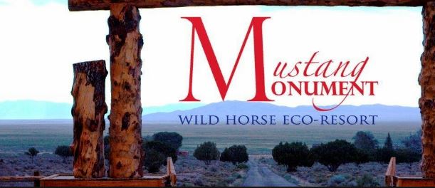 BLM’s Wild Horse “Program” is a Major Failure & Losing Battle