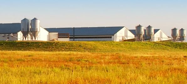 Due Process & Equal Protection in Millard County — a CAFO Case Study