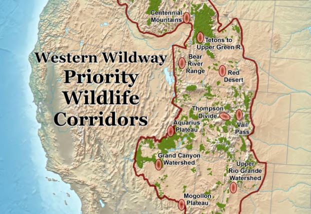 “Wildlife Corridors” act poses major threat to private property rights
