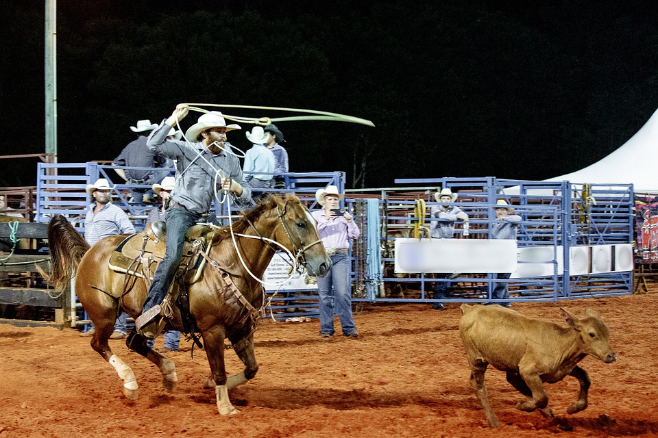 California radicals use local ordinances to destroy America’s greatest sport, the rodeo