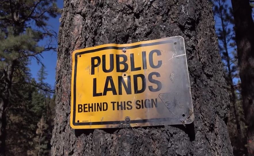 Federal control is destroying public lands, it’s time for states to take over their management