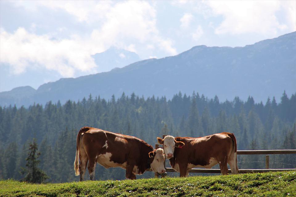 Follow the Science: Farmers and Ranchers keep the land healthy and productive