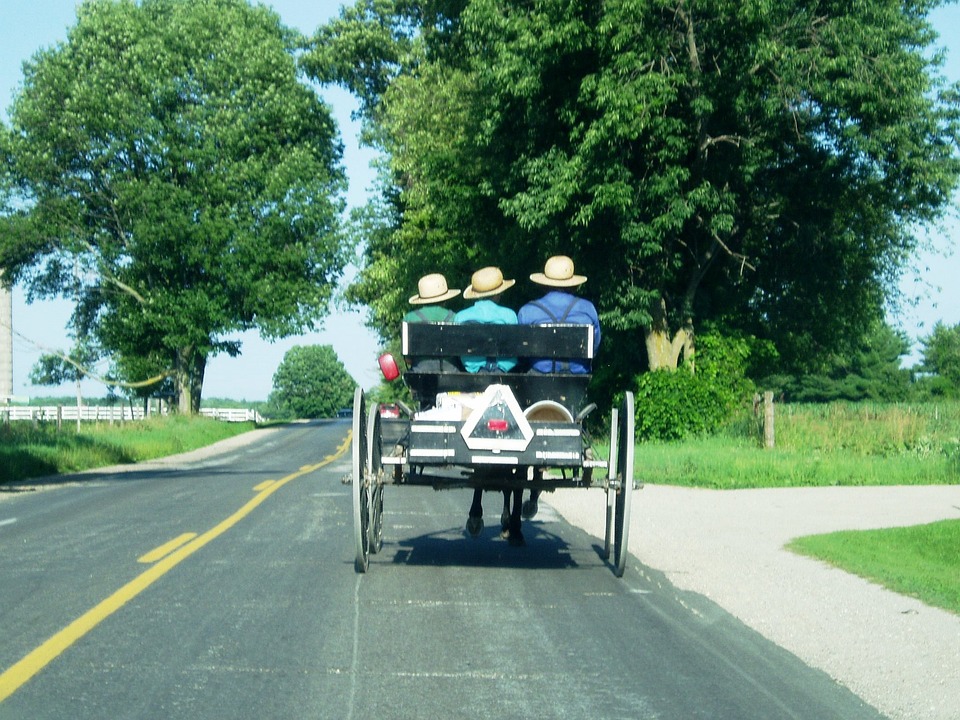 Feds storm Amish farm for selling traditionally grown meat, milk, produce