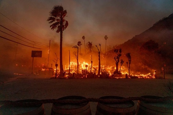 Hero citizen protects his California neighborhood from wildfires and looters